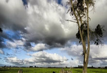 YJV 电缆：特性用途及优势全方位解读

或者

探秘 YJV 电缆：性能特点与广泛应用领域

又或者

深度剖析 YJV 是什么电缆及其重要作用